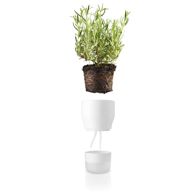 Flowerpot - Ø11 cm. - self-watering - White