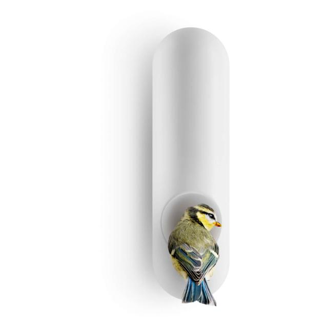Wall-mounted bird feeder tube