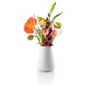 Product_Photo_3 DETAIL887313LANG1Product_Photo_3