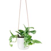 Product_Photo_5 DETAIL568164LANG2Product_Photo_5