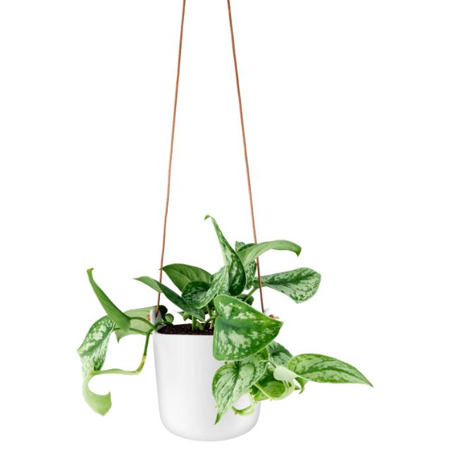 Product_Photo_5 Urtepotte - 15 cm - Chalk white