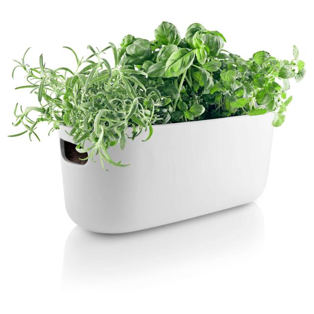 Product_Photo_5 Herb organiser - Self-watering - White