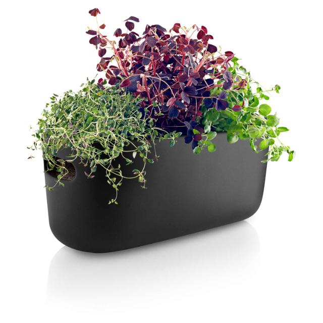 Product_Photo_5 Herb-Organiser - Selbstbewässernder - Schwarz