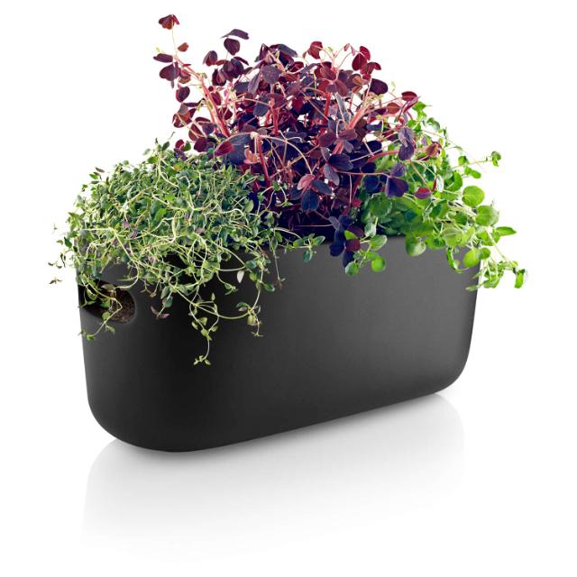 Herb organiser - Self-watering - Black