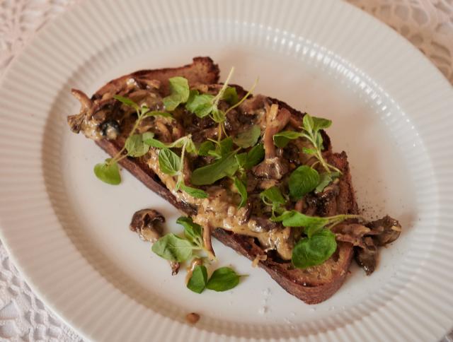 Winter chanterelles on toast