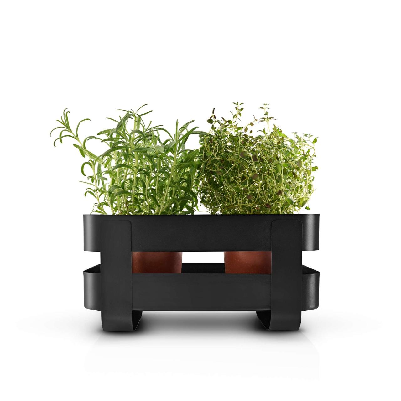 Självvattnande Herb organiser stål - Black