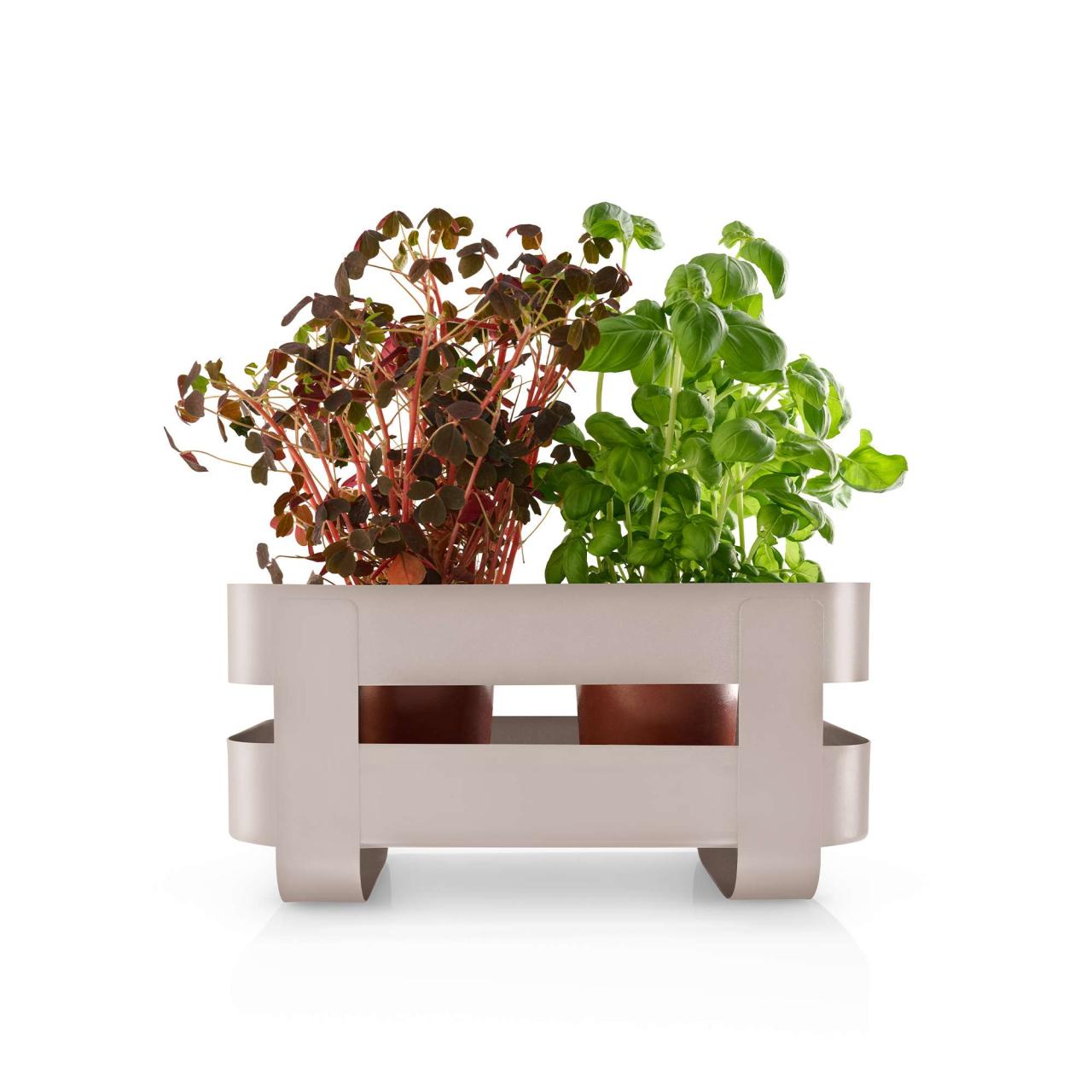 Självvattnande Herb organiser stål - Sand