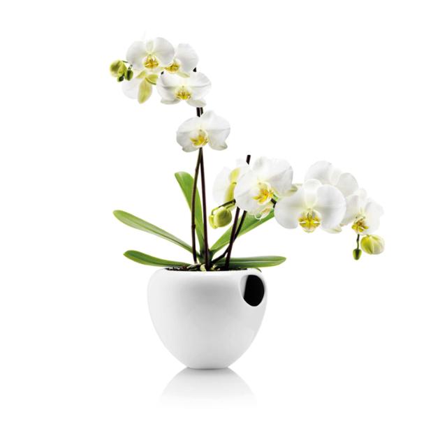 Orkidepotte - 17 cm - Hvid