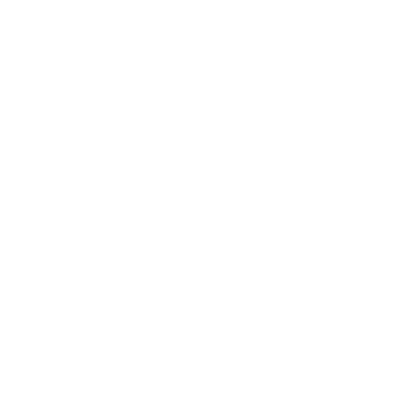 100 dages garanti