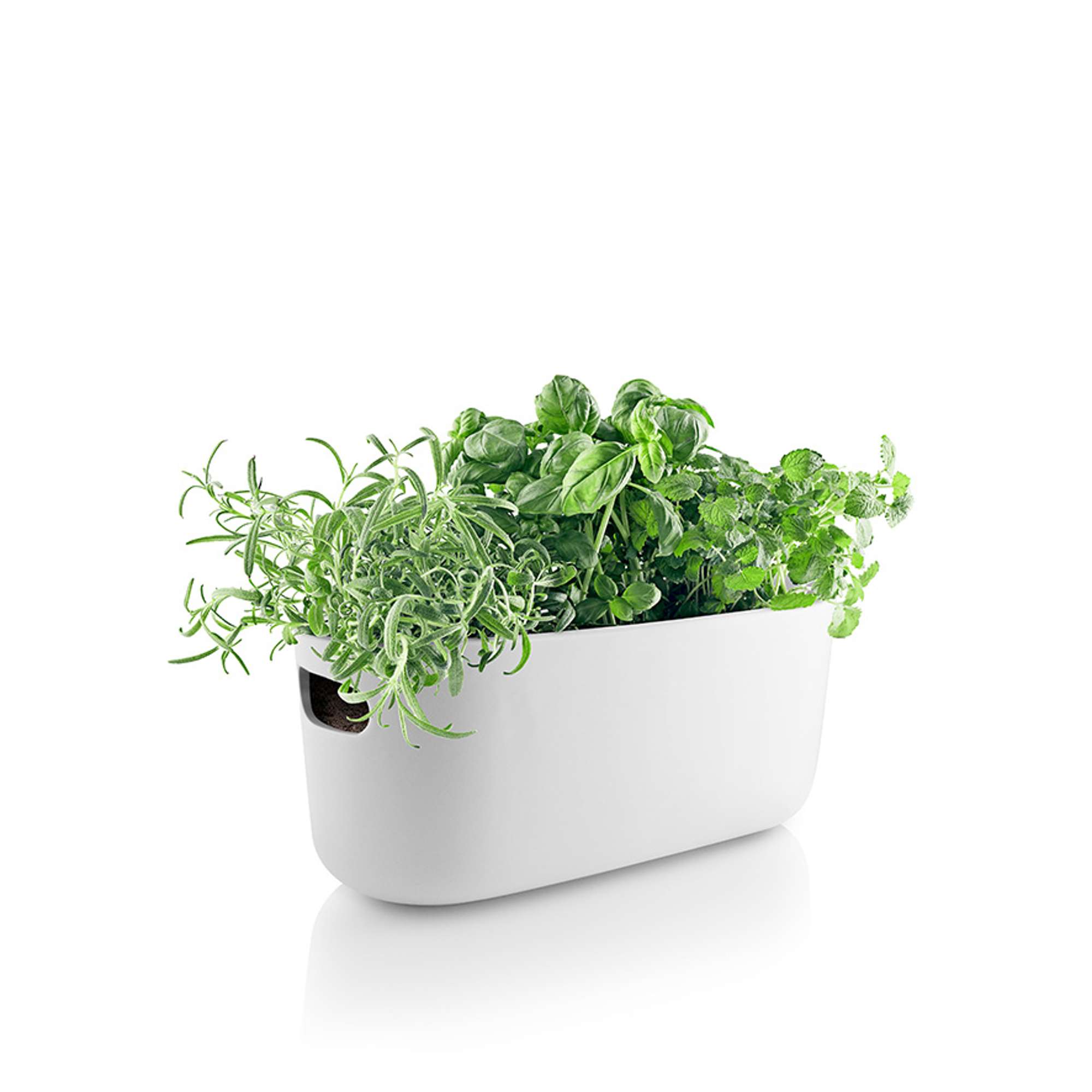 Herb organiser - Självvattnande - Vit