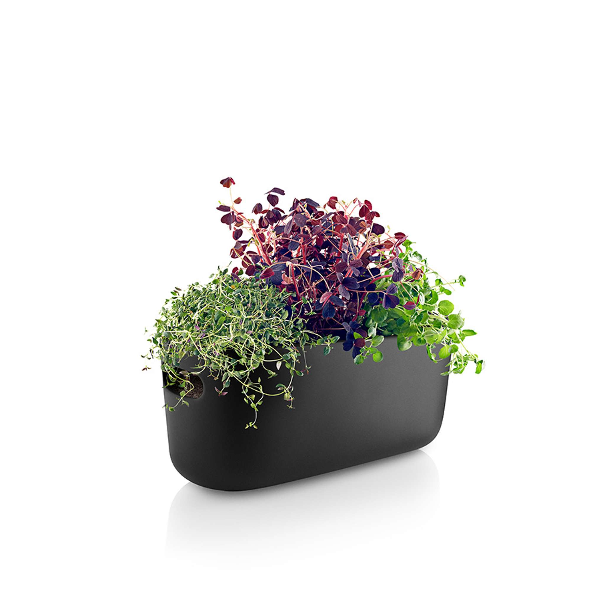 Herb organiser - Self-watering - Black