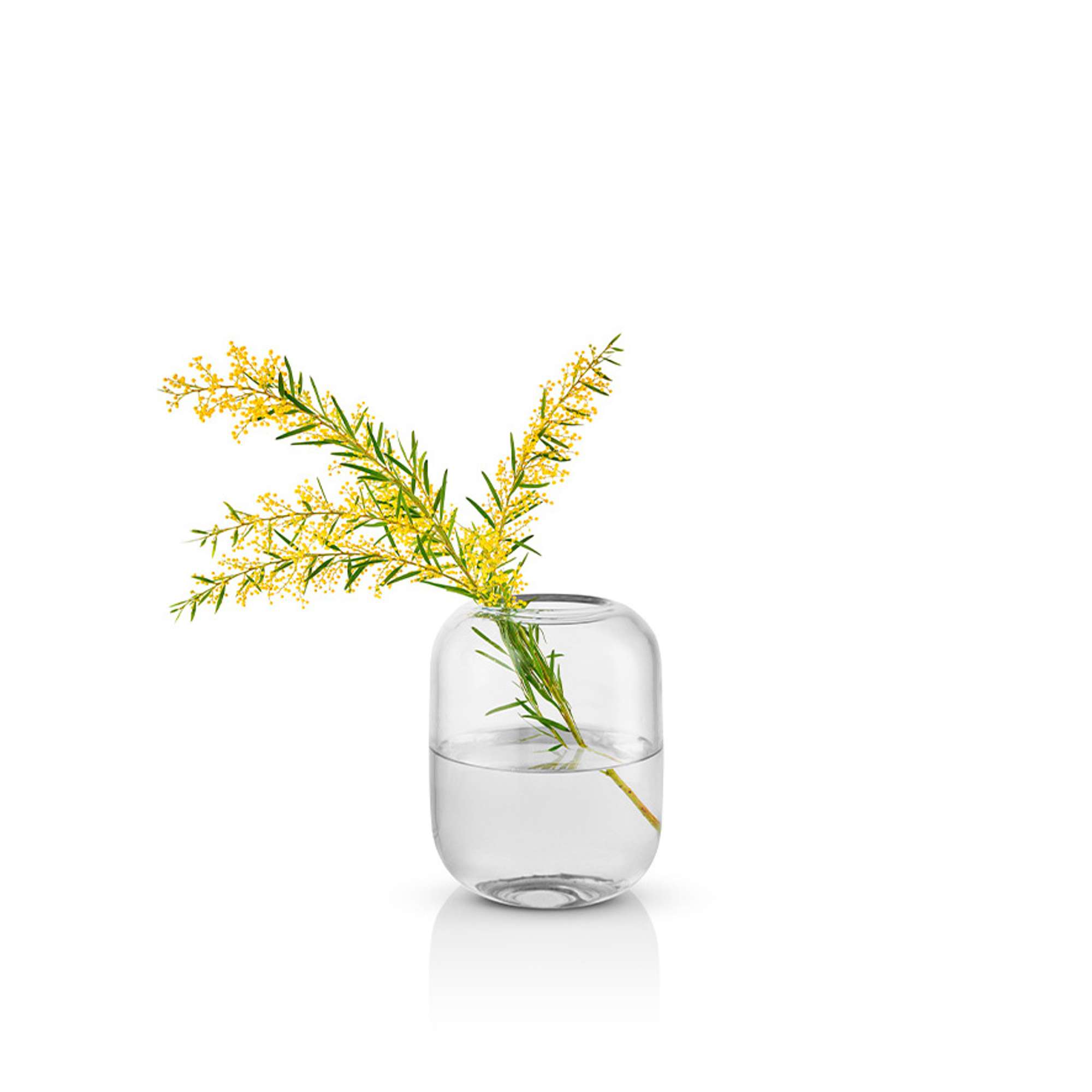 Vase Acorn - 16.5 cm - clear